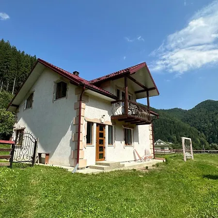 Pink House Karpaty アパート *