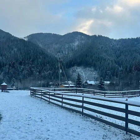 Pink House Karpaty Krivorovnya