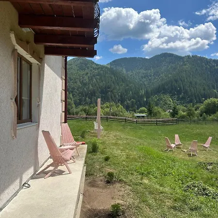 Pink House Karpaty Apartamento Krivorovnya