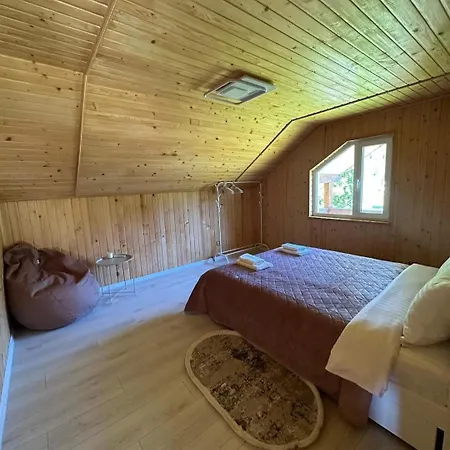 Pink House Karpaty Krivorovnya