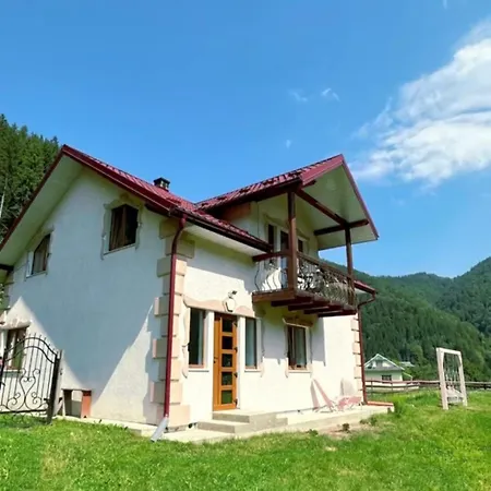 Pink House Karpaty * Krivorovnya