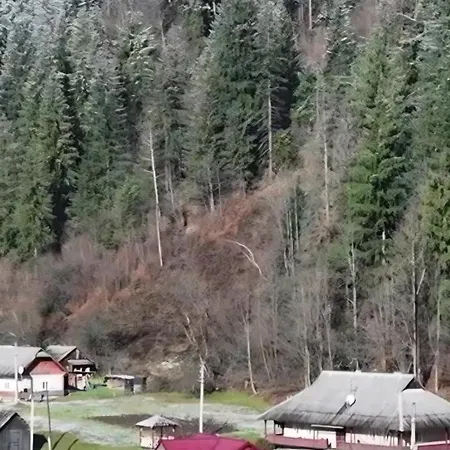 Pink House Karpaty Krivorovnya