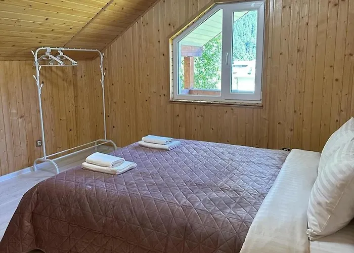 Pink House Karpaty