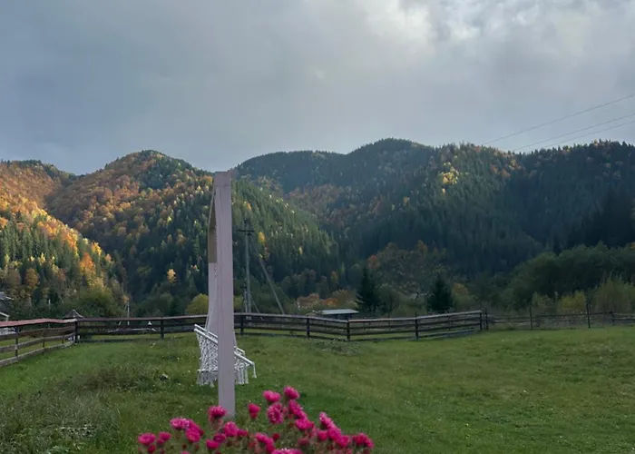 Pink House Karpaty Lägenhet Krivorovnya