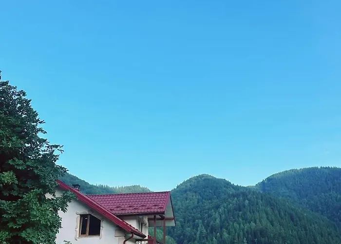 Pink House Karpaty *