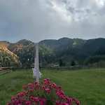Pink House Karpaty Apartmán Krivorovnya