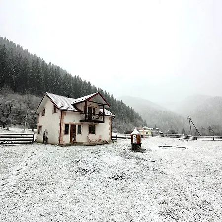 Pink House Karpaty Krivorovnya