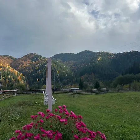 Pink House Karpaty Lägenhet Krivorovnya