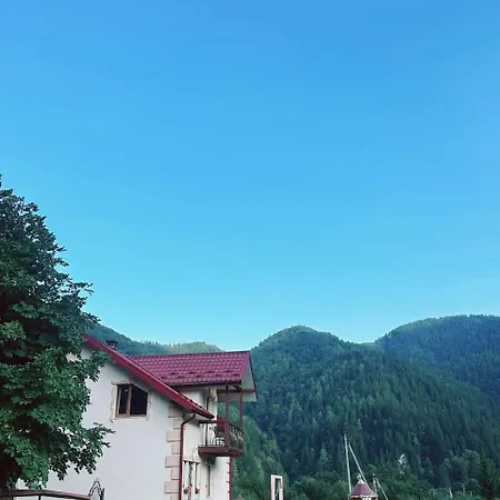 Pink House Karpaty *
